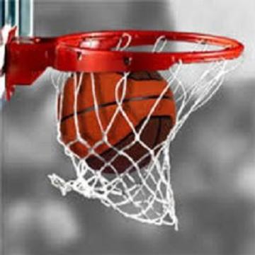 basketball game player游戲截圖2