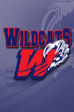 Jersey Wildcats (AMHL)游戲截圖1