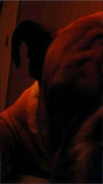 Pocket Snoring Bulldog游戲截圖2