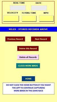 Racing Pigeon Speed游戲截圖5