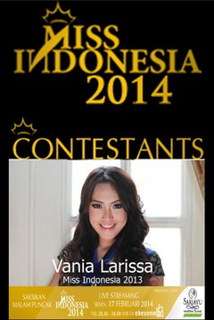 Miss Ina 2014 Puzzle Games游戲截圖4
