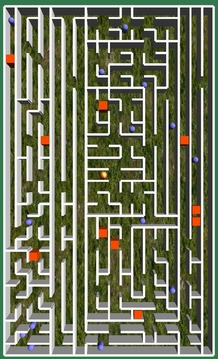 Free Maze 3D游戲截圖4