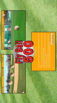 Fly Ball 500游戲截圖2
