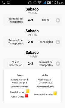 Copa Amistad Profesional游戲截圖3