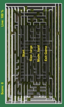 Free Maze 3D游戲截圖2