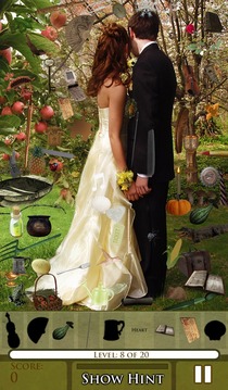 Hidden Object: Be My Valentine游戲截圖2