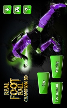Real Football Champion 3D游戲截圖4