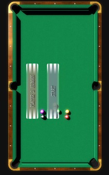 Professional Poll All-in-One游戲截圖2