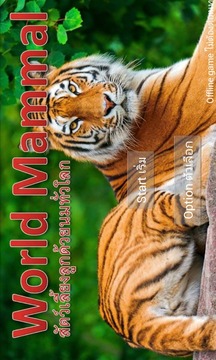 World Mammal - Animal Quiz游戲截圖1