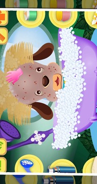 Cute Animal Hair Salon游戲截圖3