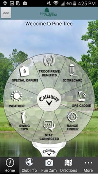 Pine Tree Country Club游戲截圖1