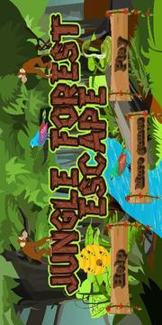 Jungle Forest Escape游戲截圖2