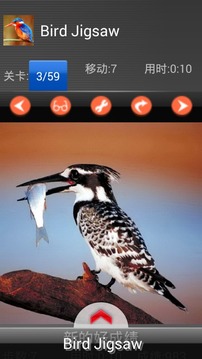 Kids puzzle – Bird游戲截圖2