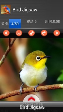 Kids puzzle – Bird游戲截圖3
