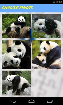 Panda Jigsaw Puzzle游戲截圖3