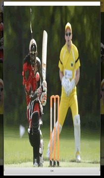Cricket Games游戲截圖3