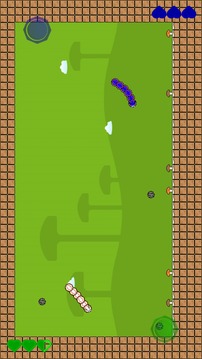 Squirmy Worm 3游戲截圖1