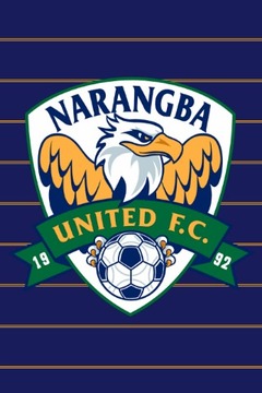Narangba United Football Club游戏截图1