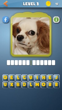 DogdomDogs guess the dog FREE游戲截圖3