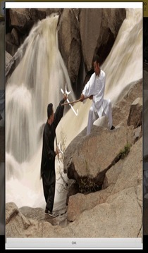Kung Fu Games游戲截圖4