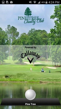 Pine Tree Country Club游戲截圖4