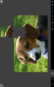 Dogs Jigsaw Puzzles游戲截圖2