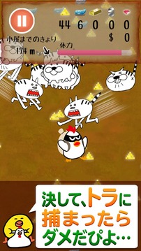 Chicken Quest游戲截圖2