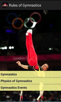 Rules of Gymnastics游戲截圖2