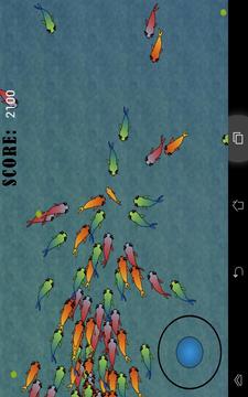 Fish Chase!游戲截圖5