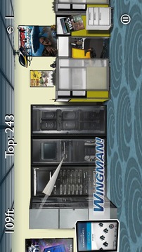 Hammermill Plane Fun游戲截圖1