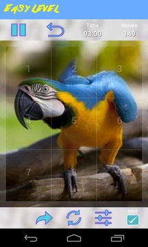 Parrot Jigsaw Puzzle游戲截圖5