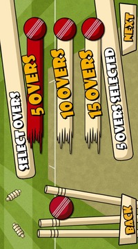 LionsRoar cricket game游戲截圖1