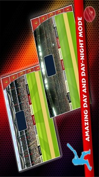 IPL T20 Cricket 2015游戲截圖5