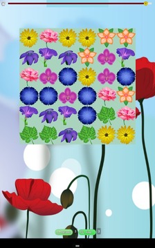 Flowers Match Free游戲截圖2
