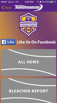 Minnesota Football STREAM游戲截圖3