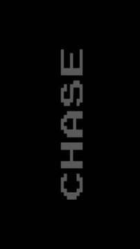 CHASE游戲截圖1