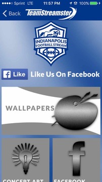Indianapolis Football STREAM游戲截圖4