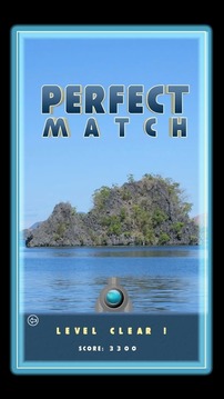 Perfect Match游戲截圖5