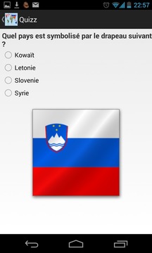 Quizz Drapeaux游戲截圖3