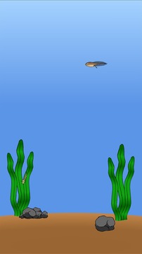 My Pet Frog游戲截圖2