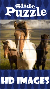 Slide Puzzle Quest游戲截圖1