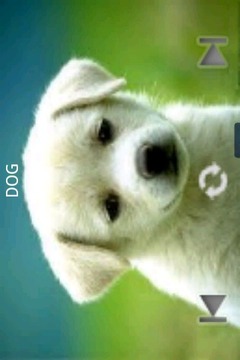 Kids Zoo Animal游戲截圖3