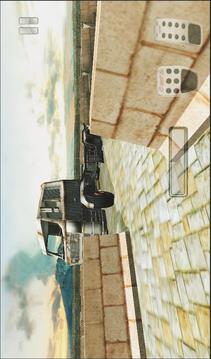 Kamyonet Park Etme 3D游戲截圖3