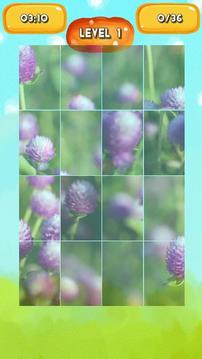 Globe amaranth Jigsaw Puzzles游戲截圖3