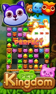 Pet Kingdom游戲截圖4