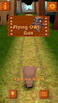 Flying Owl Run游戲截圖1