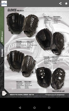 Spalding Catalogs游戲截圖5