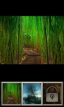 Nature Memory HD游戲截圖4