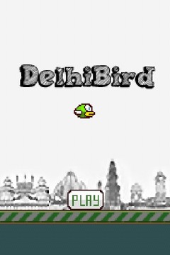 Delhi Bird游戲截圖1
