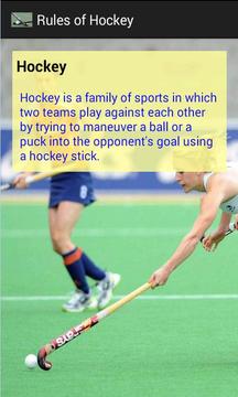 Rules of Hockey游戏截图3